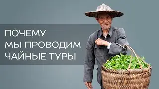 Почему мы проводим чайные туры в Китай?