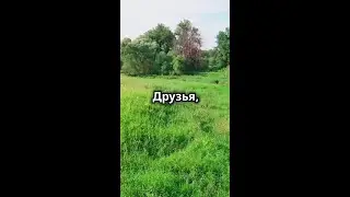 🤯  Вы знали, что прогулка в парке может быть не просто приятным времяпрепровождением, но и насто...