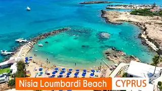 Which Beach in Cyprus Has Sea Turtles?!