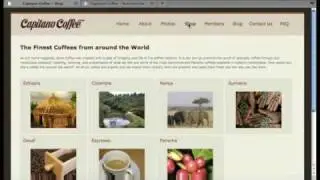 Adobe Business Catalyst CS5: Serious About Online Businesses with BC