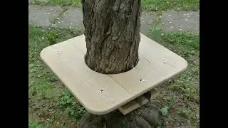 Panchina su tronco albero