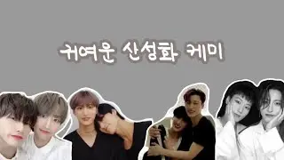 [에이티즈/ATEEZ]귀여운 산성화 케미