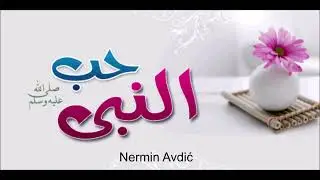 Razlozi zbog čega nekog volimo | Nermin Avdić | 2018.