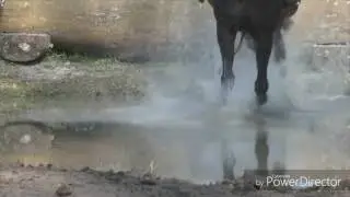 Маленький клип😜