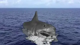 SHARK animated POPING UP FROM WATER green screen