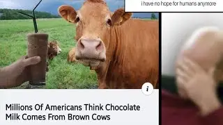 r/Facepalm Memes That Make Me Question Humanity