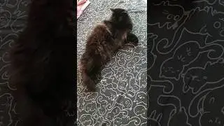 Ничего я не хочу 