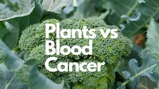 Surprising Anticancer Properties of Cruciferous Vegetables | Antioxidants & Sulforaphane