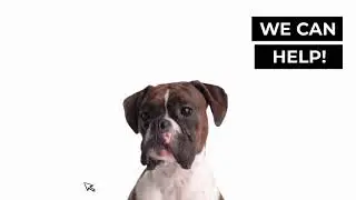 We Can Help