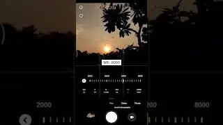 macro photography ideasmacro photography lens#shorts #youtubeshorts #india #editing