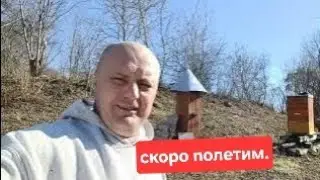 Пригород Харькова. Потихоньку Летаем.28.02.2024