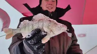 Рыбалка на озере Сартлан. Поймали огромного окуня!