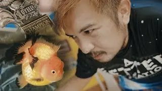 FV VLOG #105:  Unique Grooming Style ft. CHEF & AQUATICS