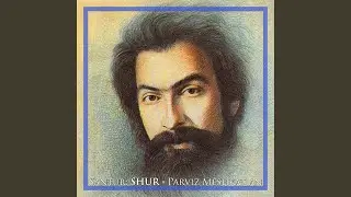 Zarbi Gereyli Shasti (feat. Hossein Hamedanian)