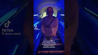 Annie camel tiktok 😂😭