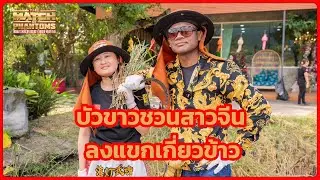 บัวขาวชวนสาวจีนลงแขกเกี่ยวข้าว  No 29
