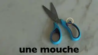 FRENCH NAMES ILLUSTRATED, SUBTITLED AND SPOKEN IN FRENCH  MOTS FRANCAIS SOUS-TITRES, LUS EN FRANCAIS