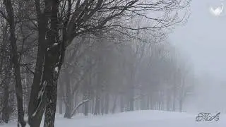 ✨ Для души... Вадим Гурьев - Обними Любимую.  Vadim Guryev - Hug Your Sweetheart.