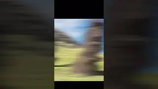 Let him cook 🍷🗿