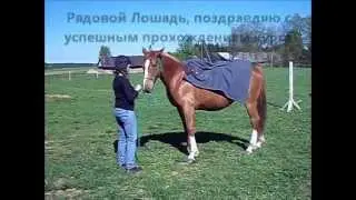 Произвольная программа. Мария и Бейлик (BaileyZ). 1 уровень. Весна 2013.