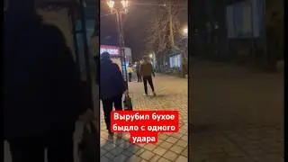 Вырубил бухое быдло с одного удара