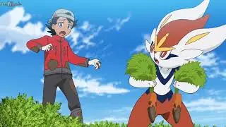 CINDERACE EN LA GRANJA, POKEMON VIAJES CAPITULO 52