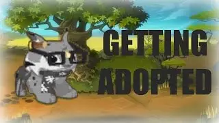 GETTING ADOPTED | Animal Jam