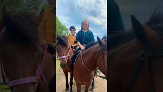 Конная прогулка