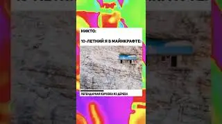 МЕМ 