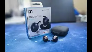Sennheiser Momentum Sport Earbuds | Unboxing & Review