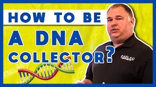 How Do You Become a DNA Collector?