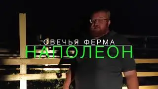 Ночное пополнение +130 овец