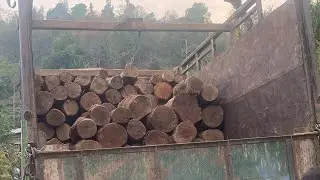 10 chakke ma 50 crores ko mal liyera jadai India🤪😀