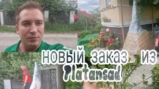 Новый заказ  из Platansad, Что опять?😅