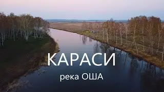 Рыбалка на карася. Омская область. Река Оша.