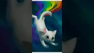 котики(´✪ω✪`)♡