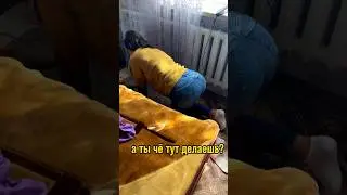 ГОРОДСКАЯ В ДЕРЕВНЕ 