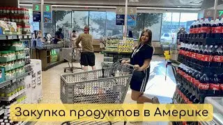 Закупка продуктов в Америке! Цены на продукты в Америке