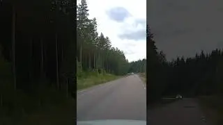 Police car is in a hurry.... almost drove into the ditch.
