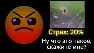 Арахнофобия (ГД Лица)