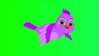 flying bird green screen background effect 