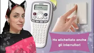 Ho etichettato anche gli interruttori