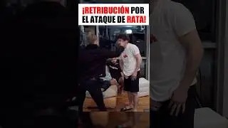 ¡Mira esa rata!