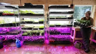 April Seed Room Tour | Boat Trailer Bunks & Sawmill Toe Boards