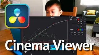 Cinema Viewer Mode in DaVinci Resolve 17