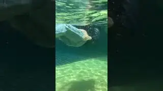 #Wetlookelena