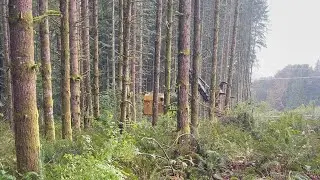 Tigercat Lx870d. Outside view of some flat ground in northwest Oregon.