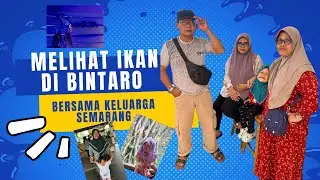 Melihat Ikan di Bintaro