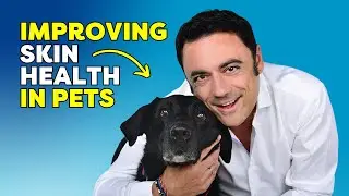Dr. Ramón Almela: Managing Pet Food Allergies