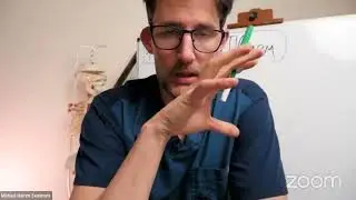 The Sympathetic Arm (livestream)
